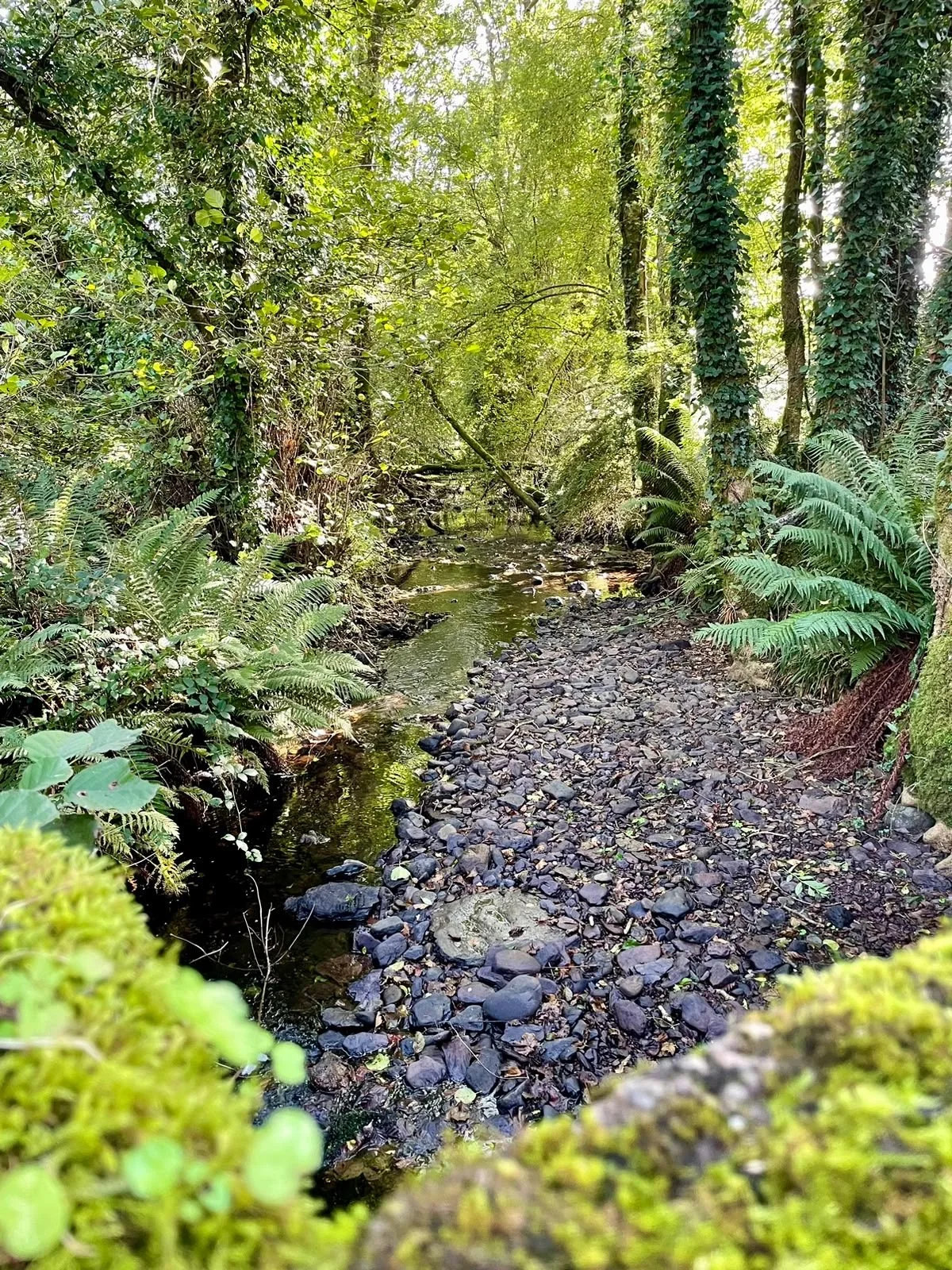 Ireland10.jpeg