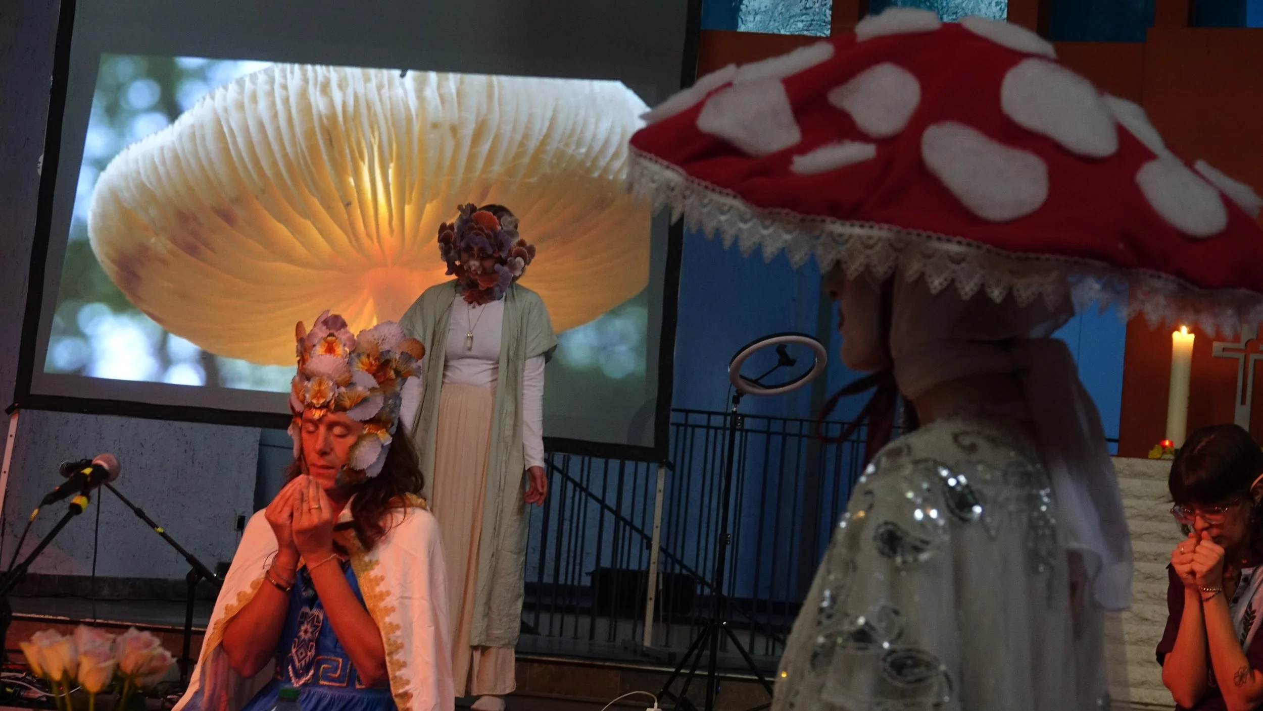 DSC07285.JPG