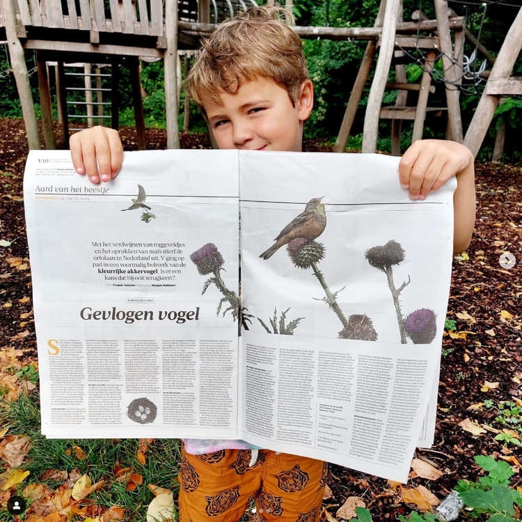 margot-holtman-volkskrant-gevlogen-vogel-aard-van-het-beestje.webp