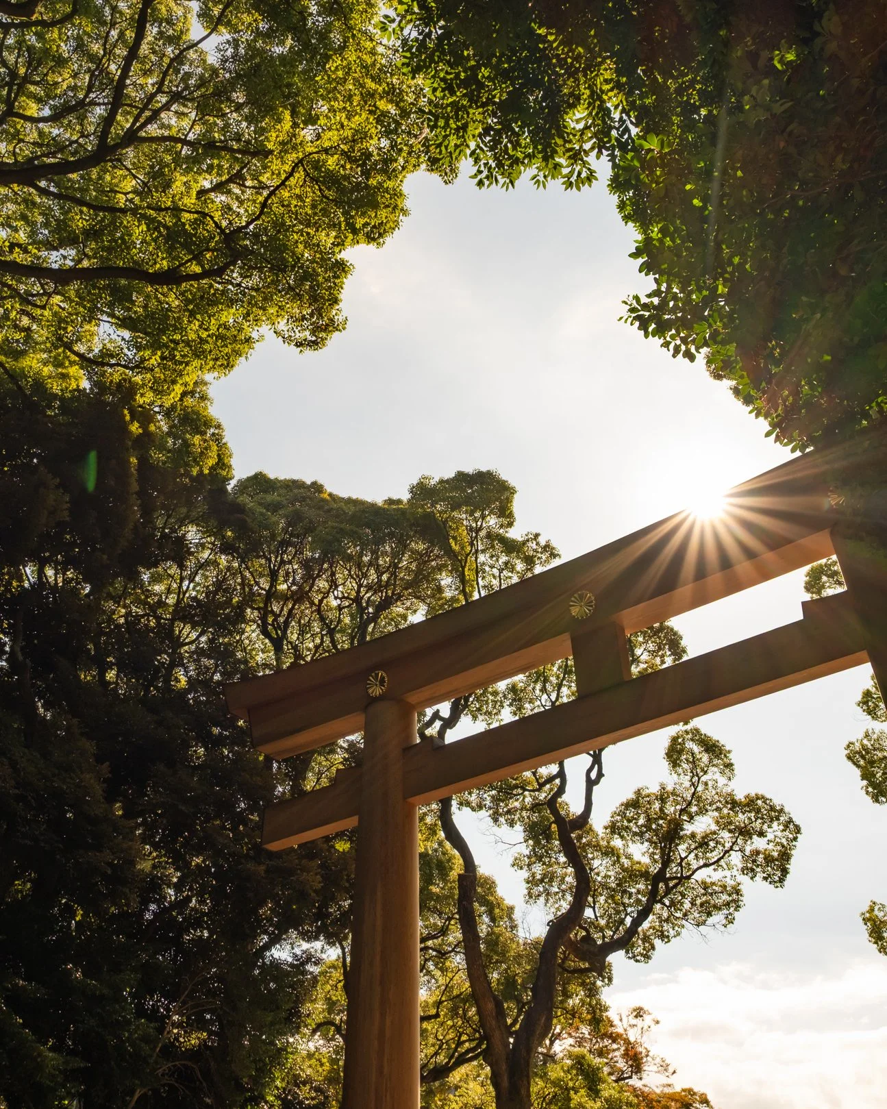 251028_Park Hyatt_low-12.jpg