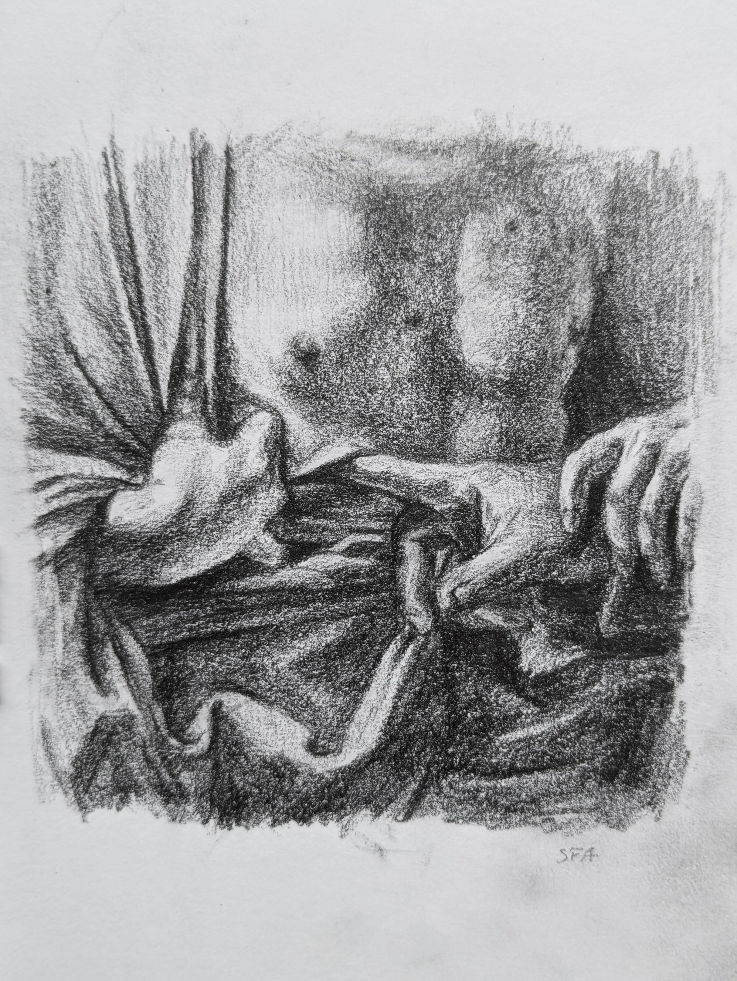 tegning mars 3.jpg