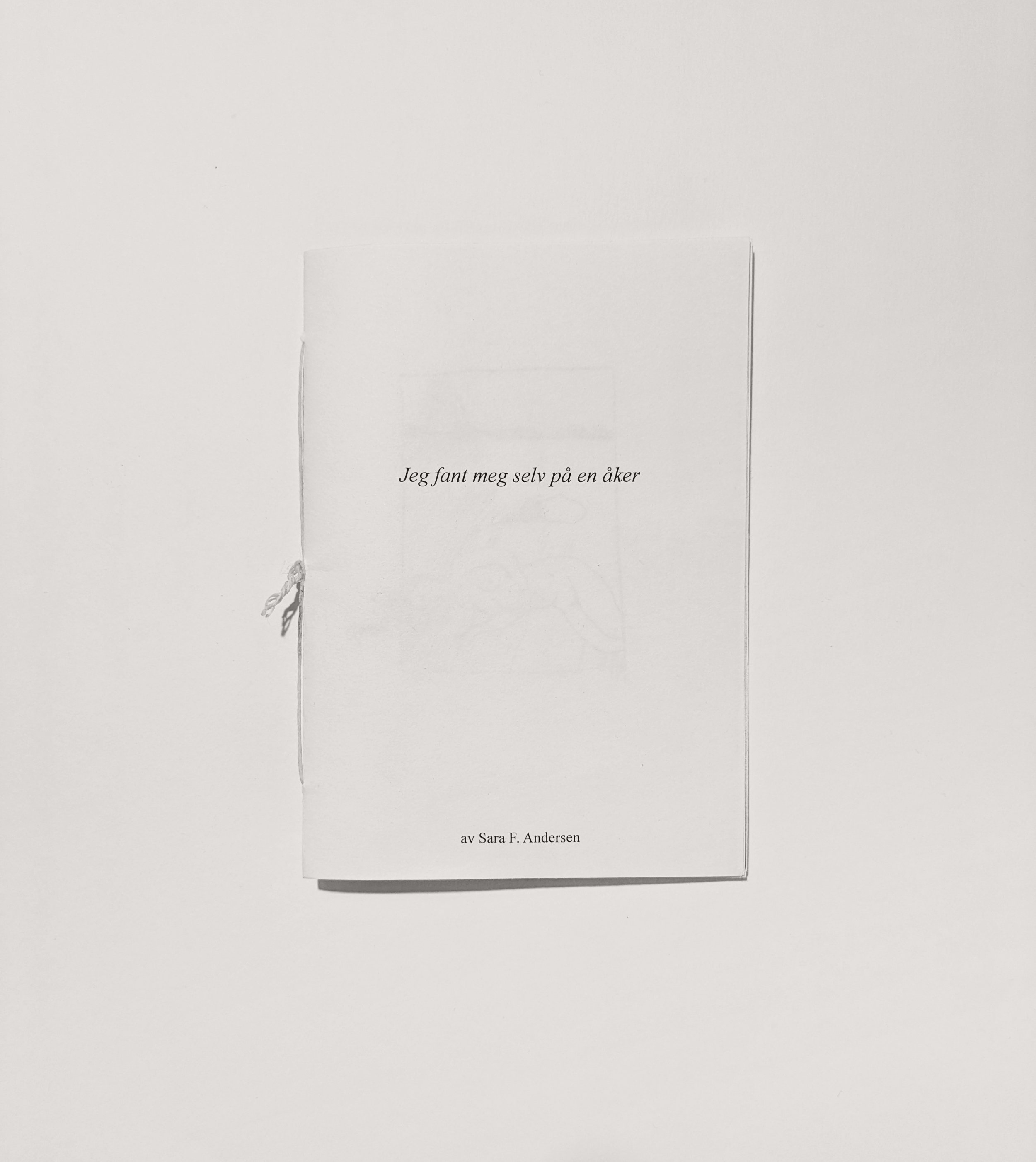 Jeg fant meg selv på en åker (2025)