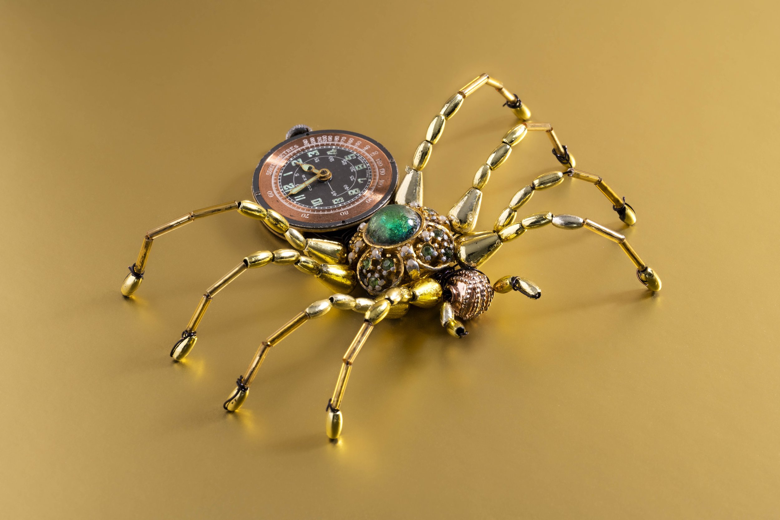 Time bugs-1.jpg
