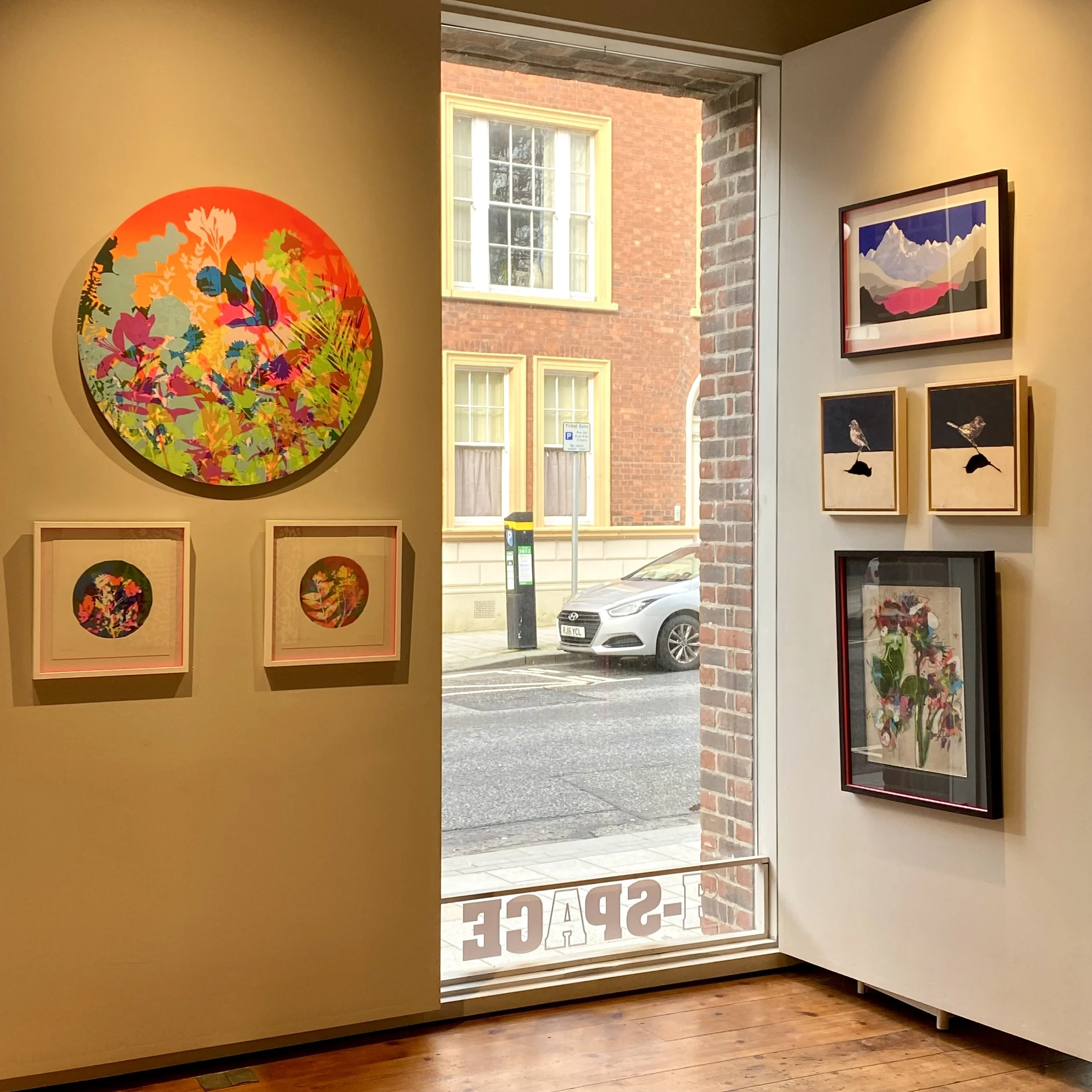 Ian Pitt Collection.jpeg