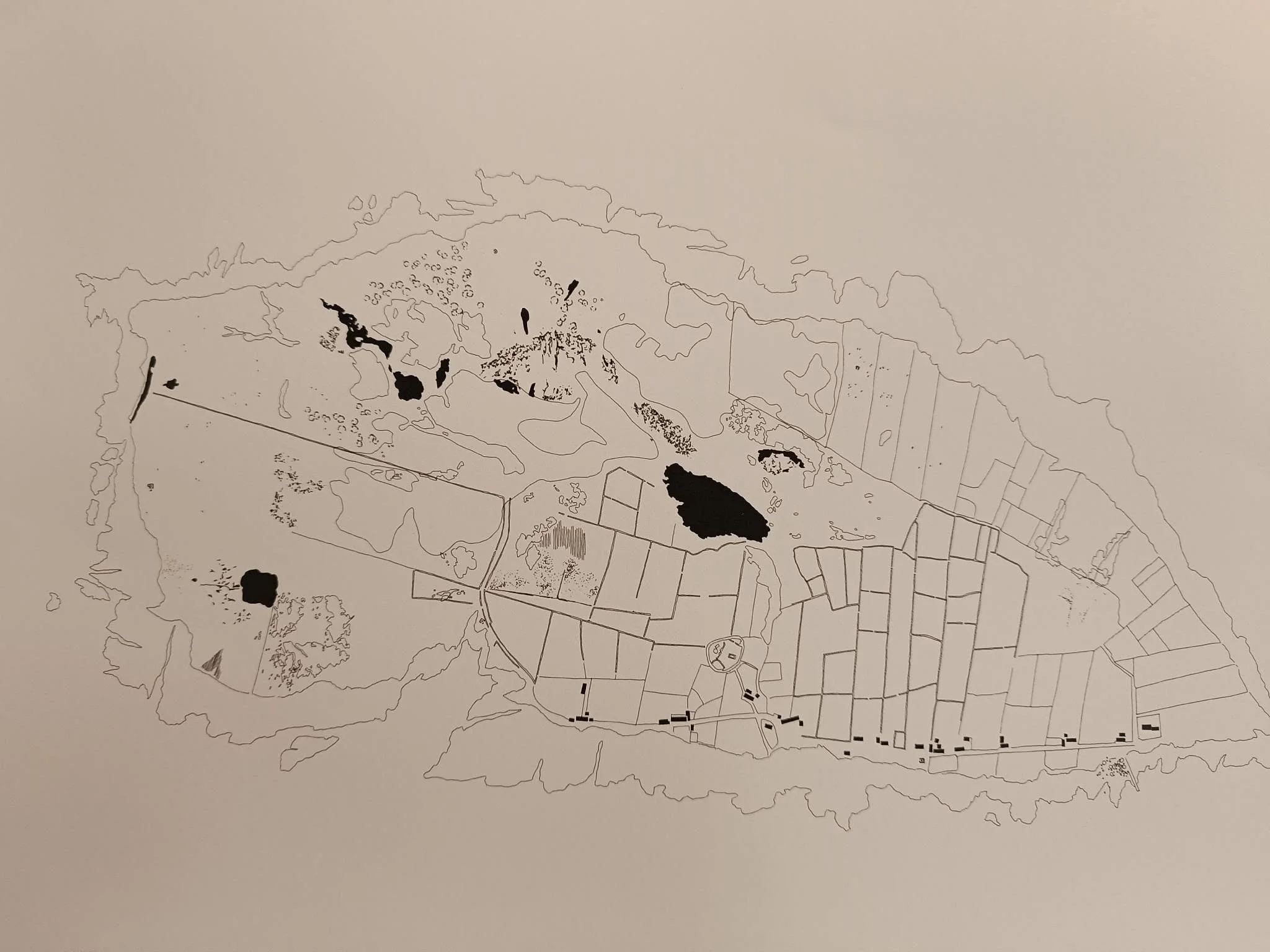 l4.jpg