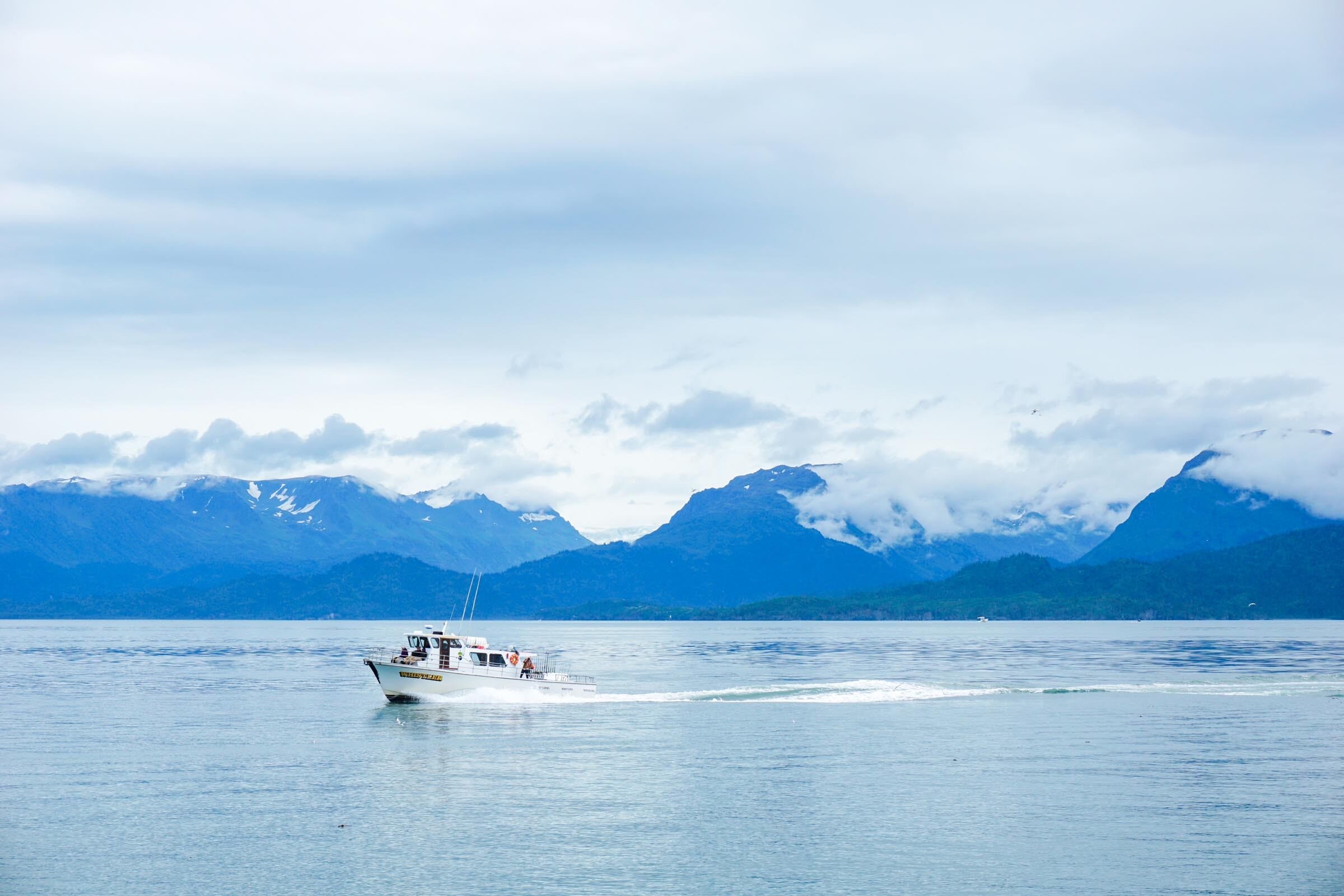Boat Tour
