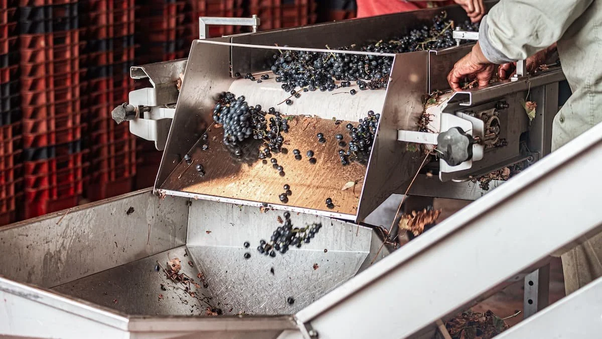 Supplier Diversification for CPG Brands: Why Single-Source Risk Hurts Your Margins