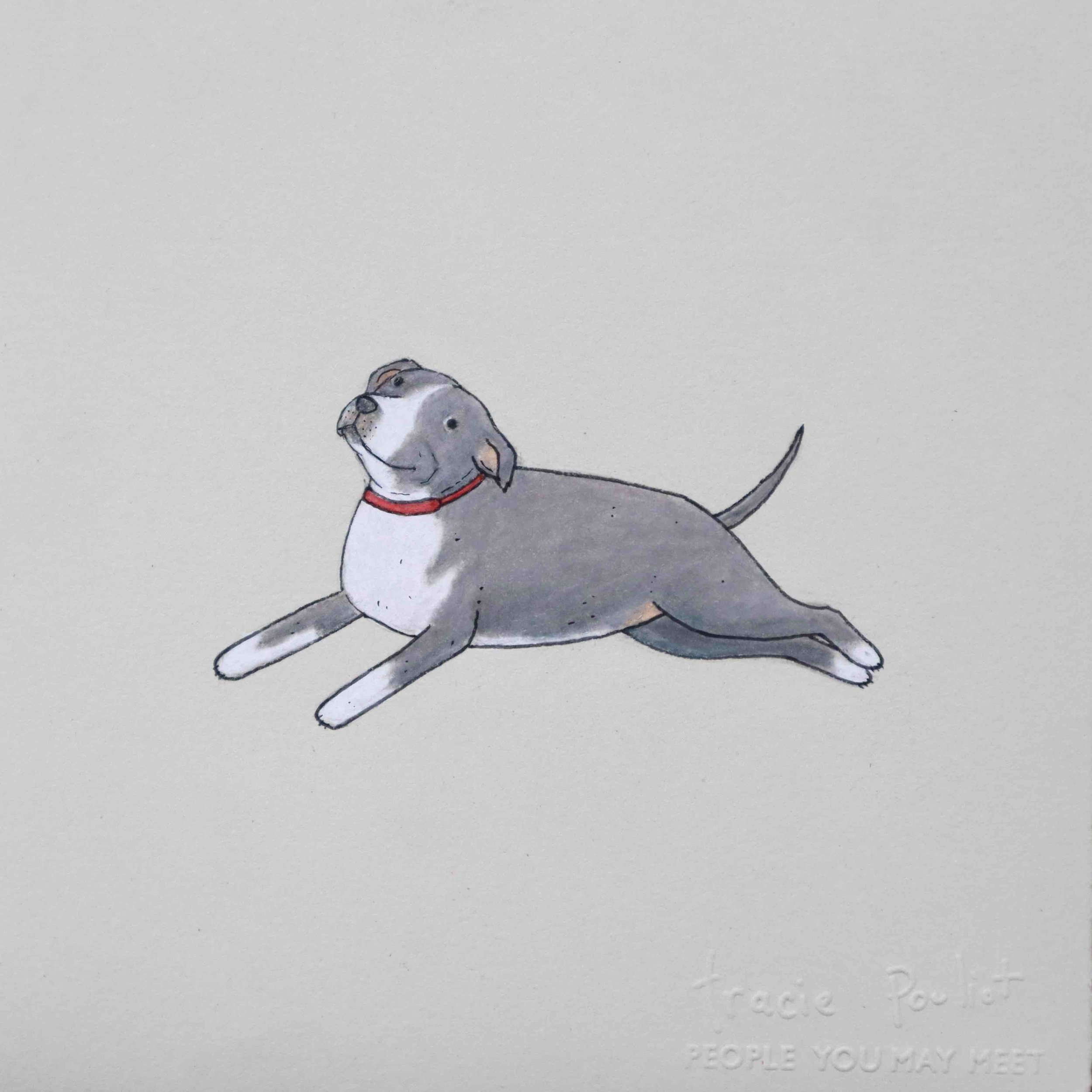 drawing of very cute pitbull smiling at us