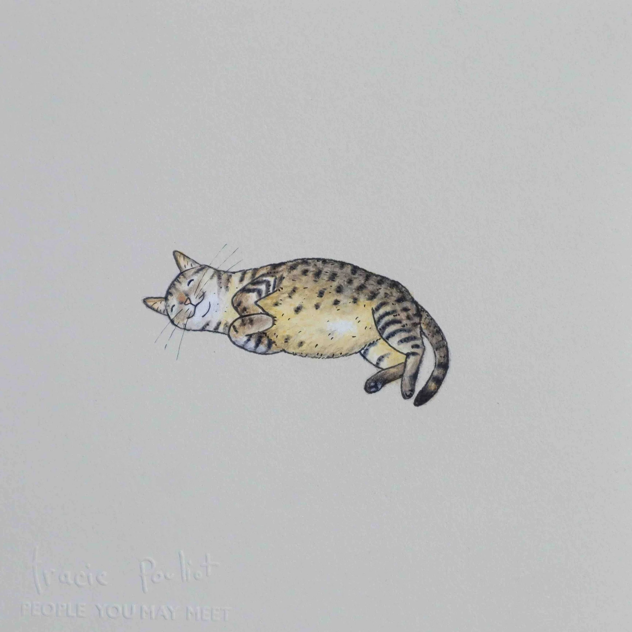 drawing of the happiest cat