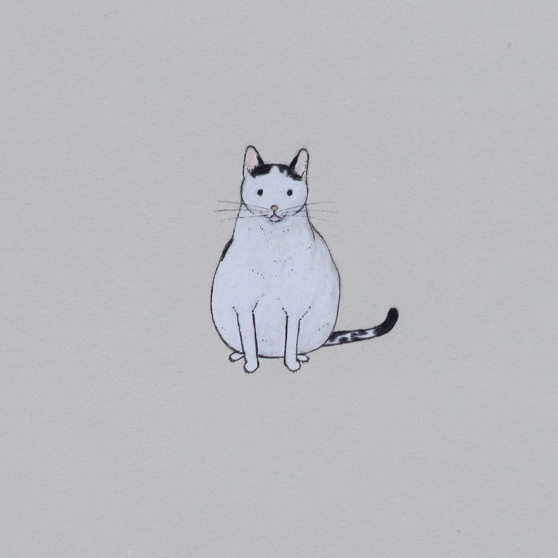 fat black and white cat drawing