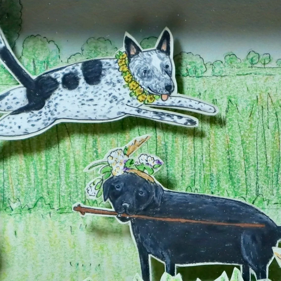 Start a Pet Portrait Shadow Box