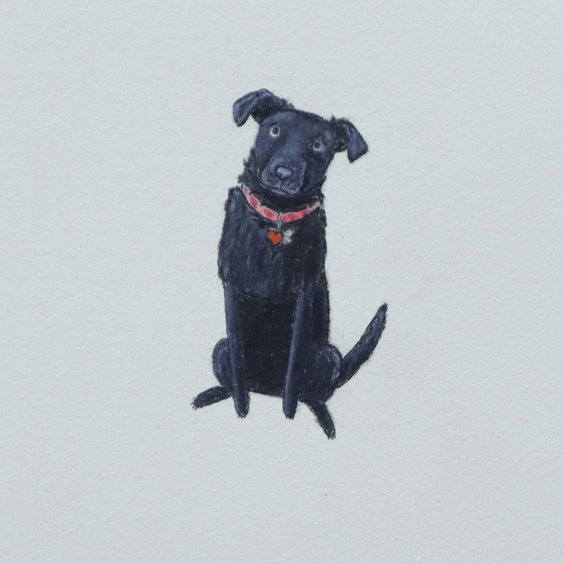 custom portrait of black dog with tilted head