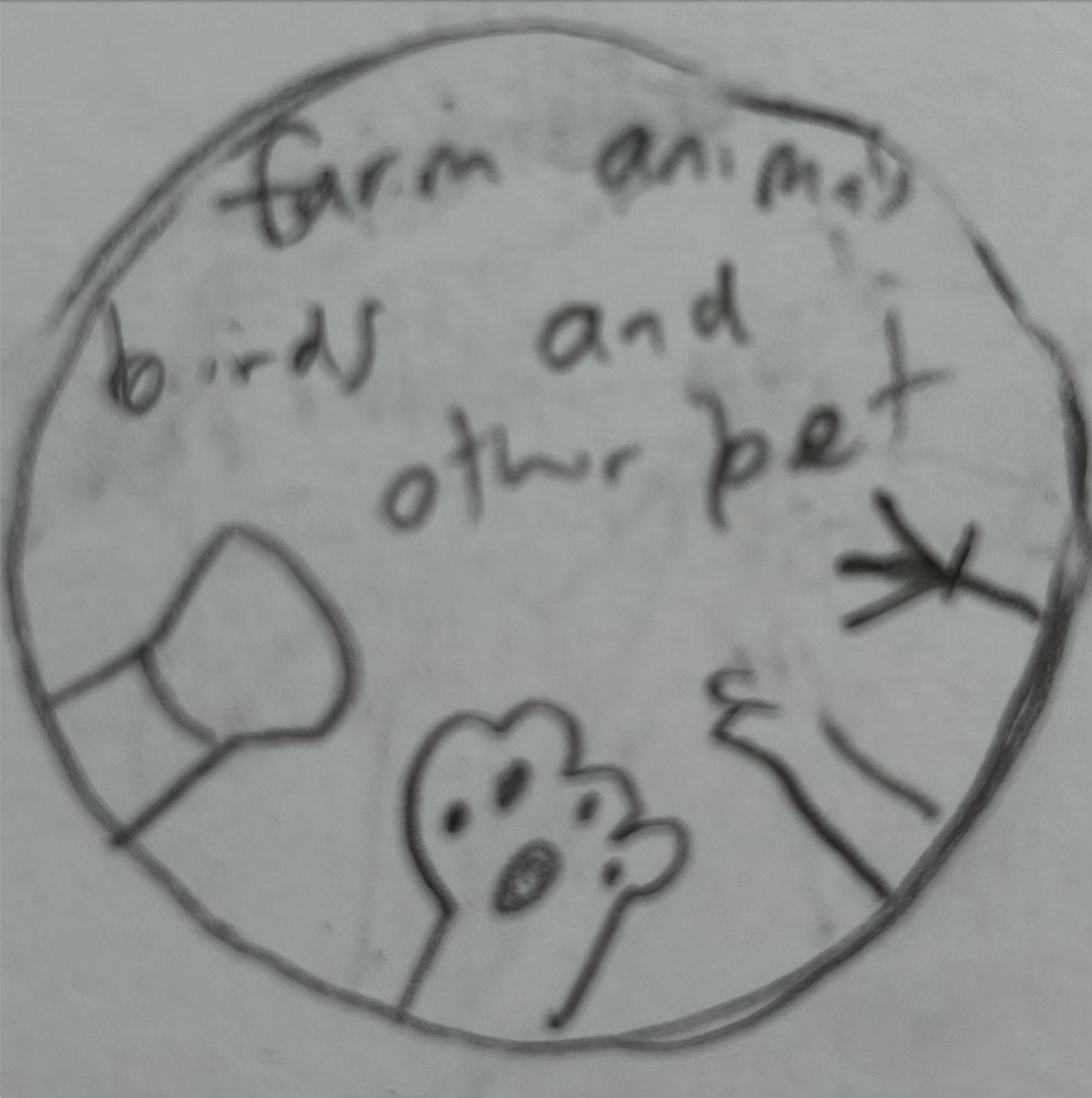 other animals