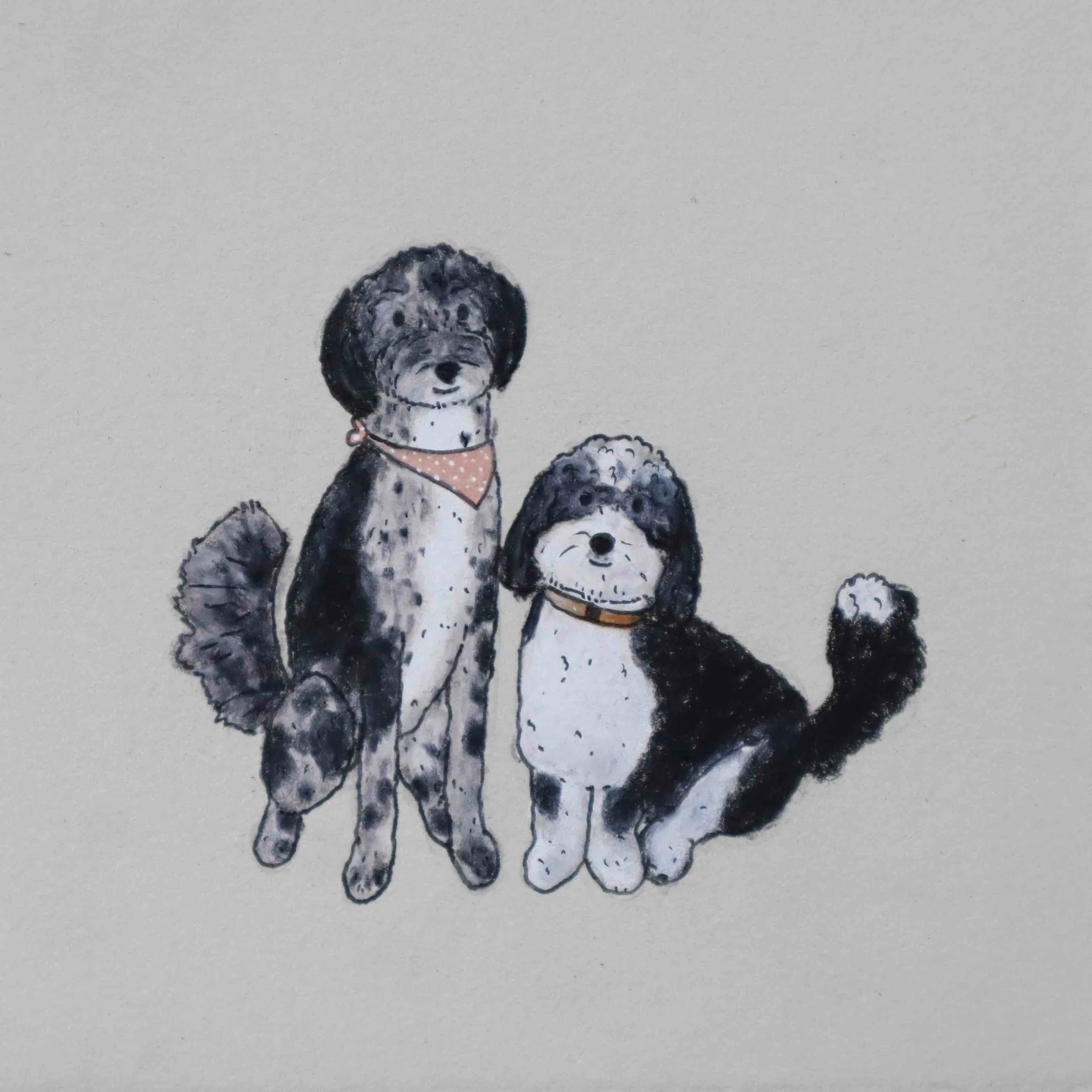 hand drawn portrait of two fluffy pups