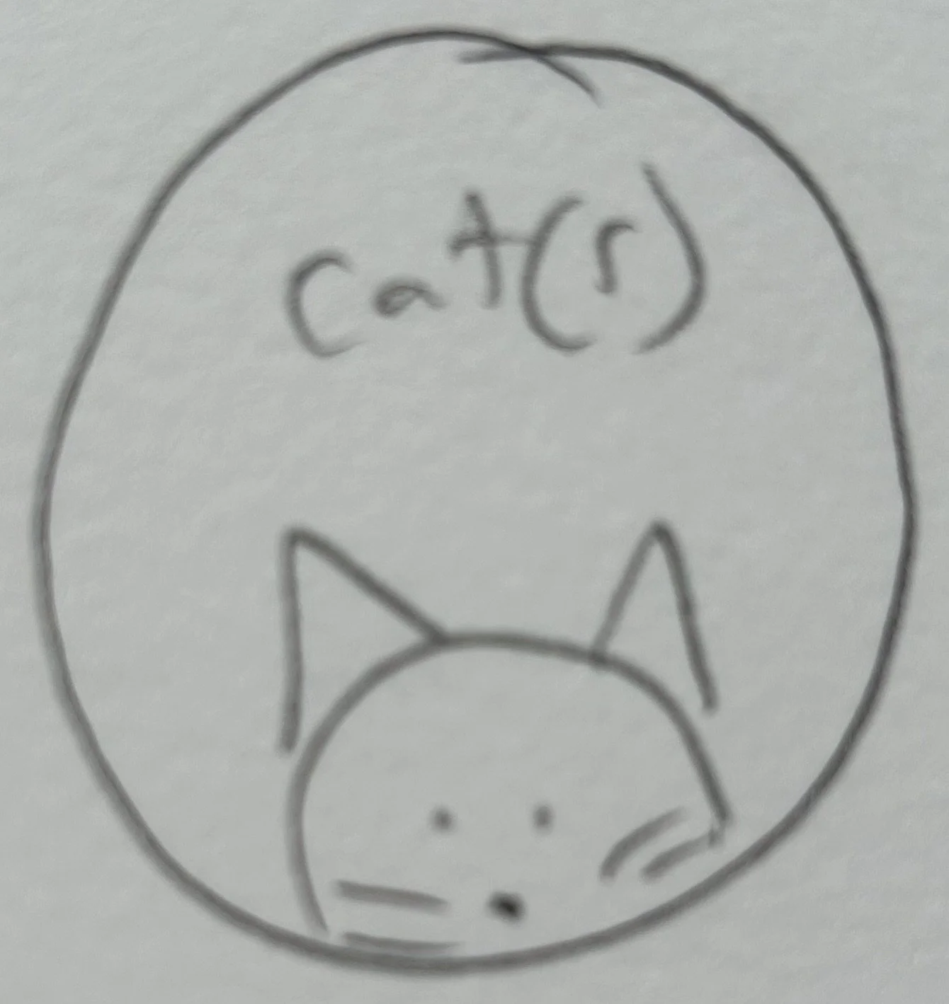 MINI cat(s)
