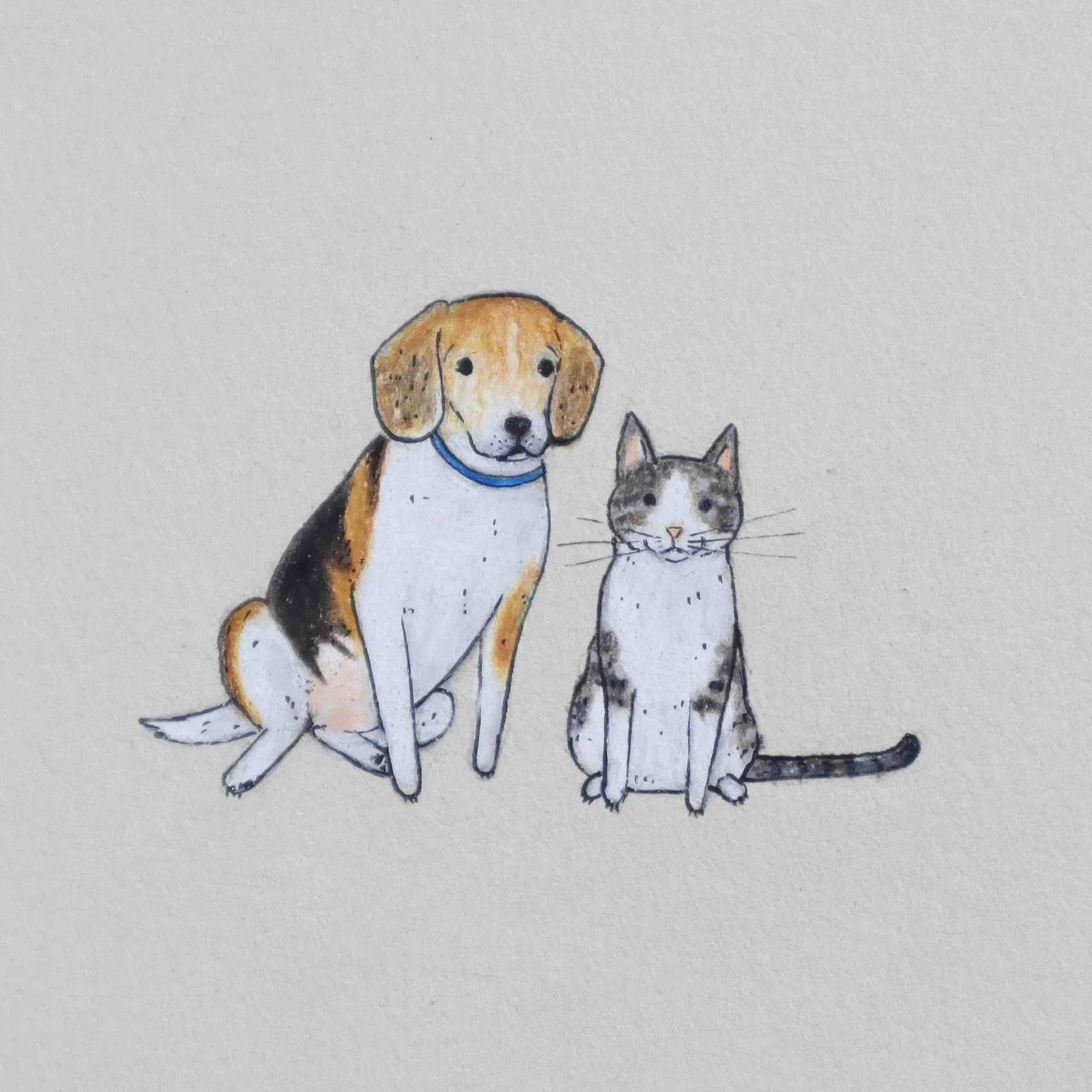 a dog and cat drawing