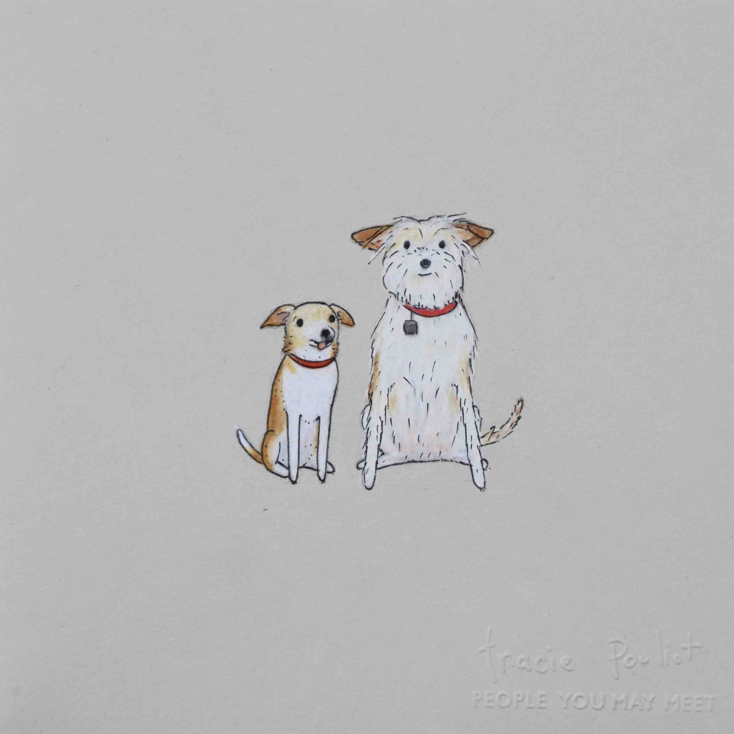 one portait of two cute dogs