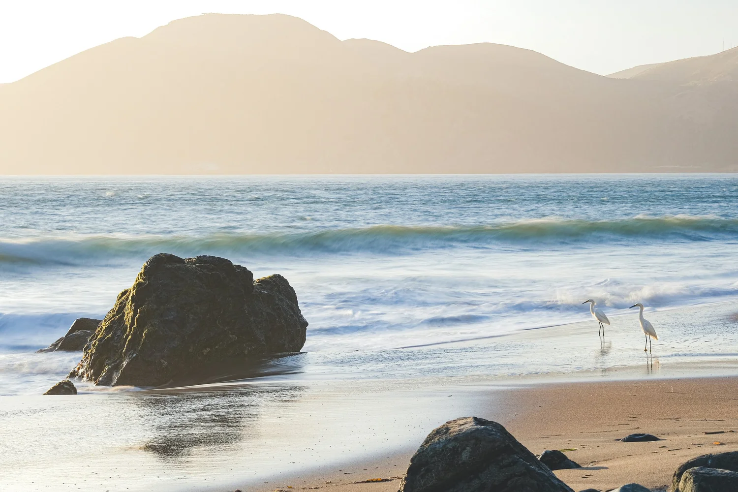 Surf breaking on a San Francisco beach, two egrets at the waterline, the Marin headlands beyond