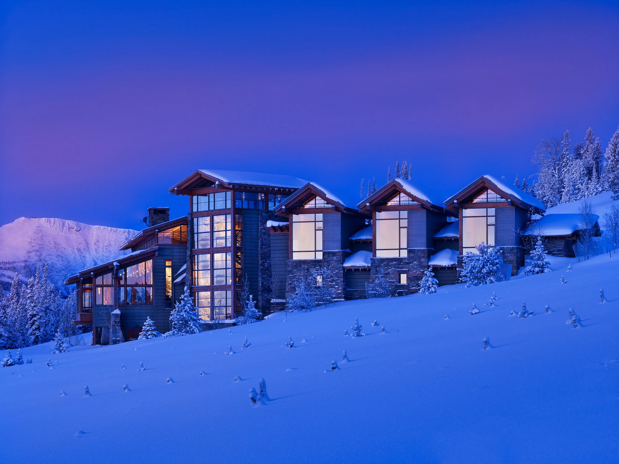 Alpine Ski House