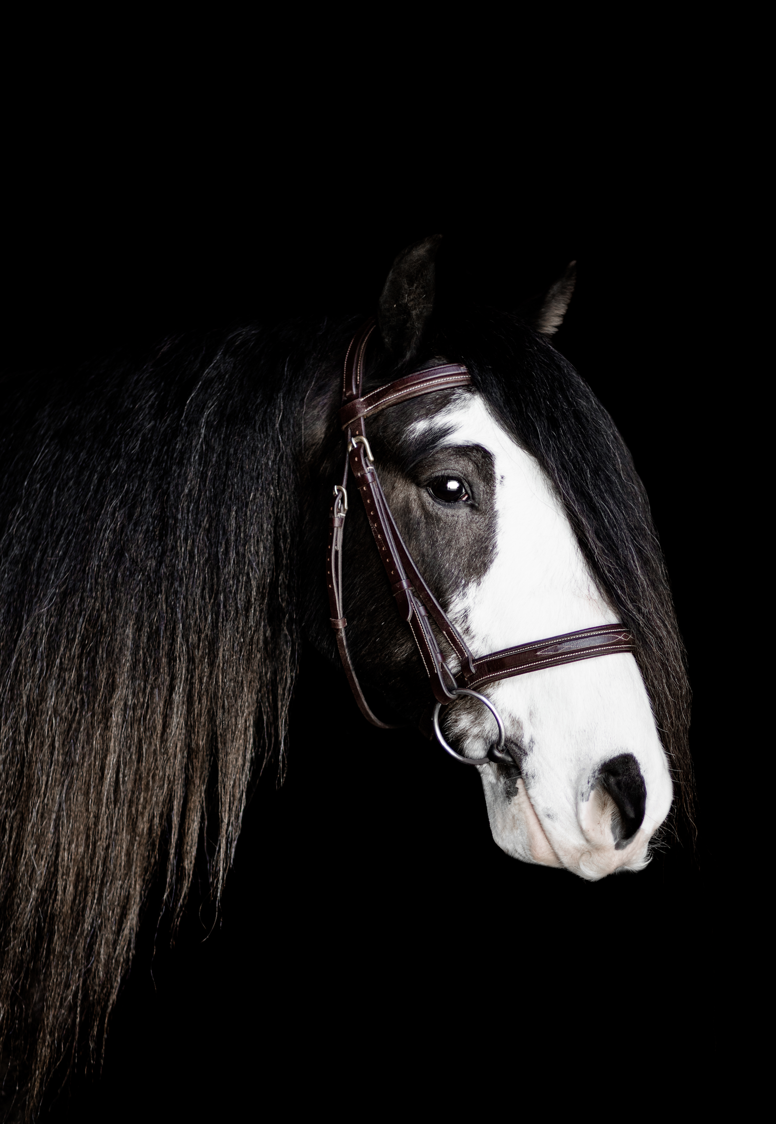 Screenshot 2023-03-30 at 7.17.46 PM.png