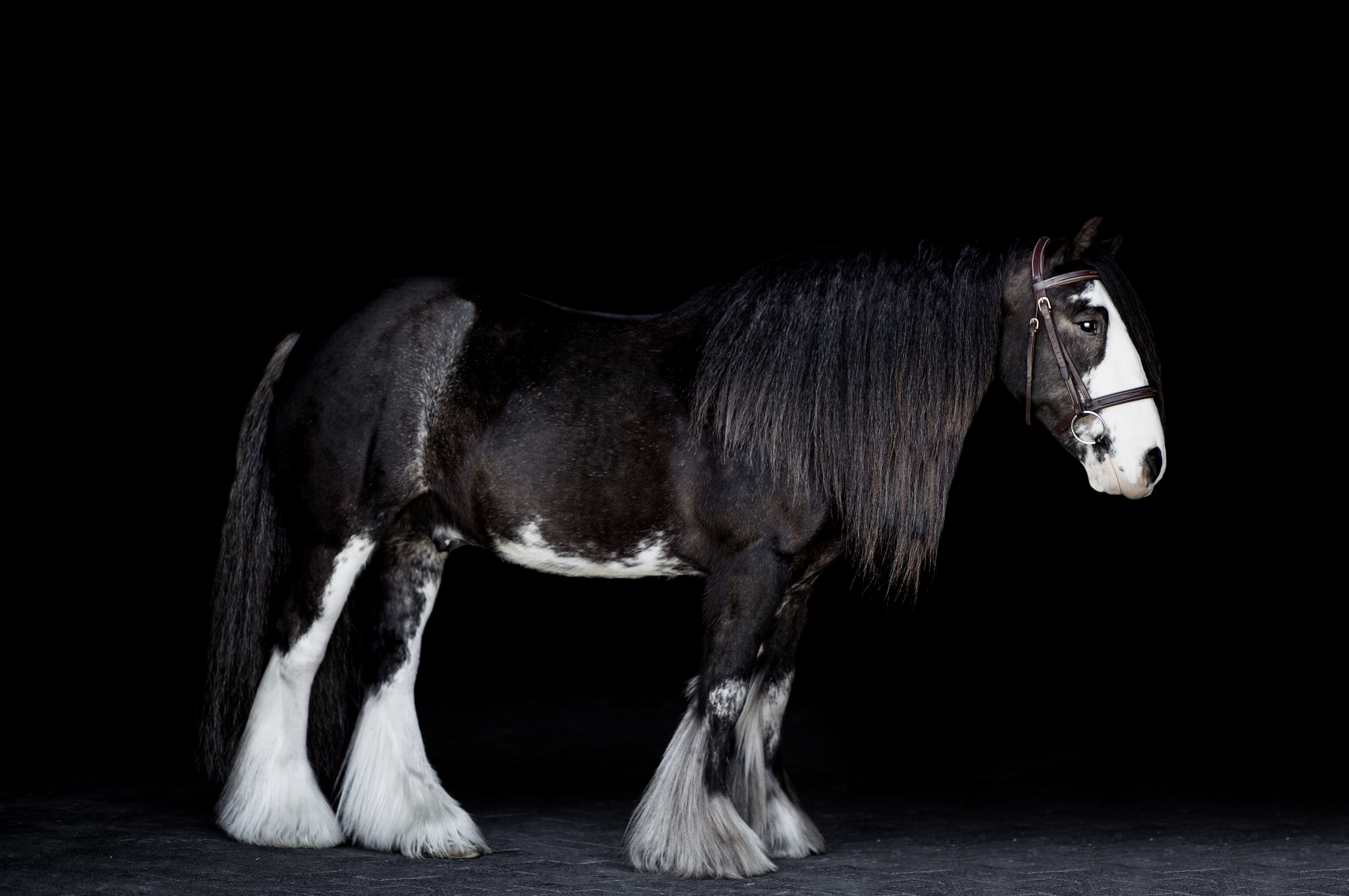 Screenshot 2023-03-30 at 7.18.08 PM.png