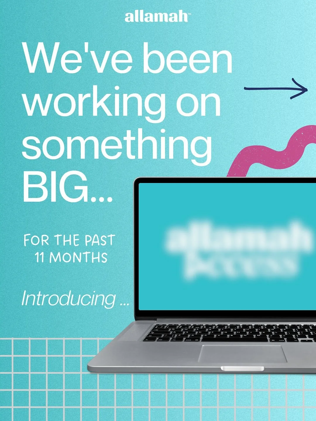 I&rsquo;m finally posting this!!

If you&rsquo;re on our mailing list, you would have seen me dropping bits of info, but now I get to let you in on it ALL. 

After 11 months of work, the secret is out! 

Introducing Allamah Access - your all-in-one I