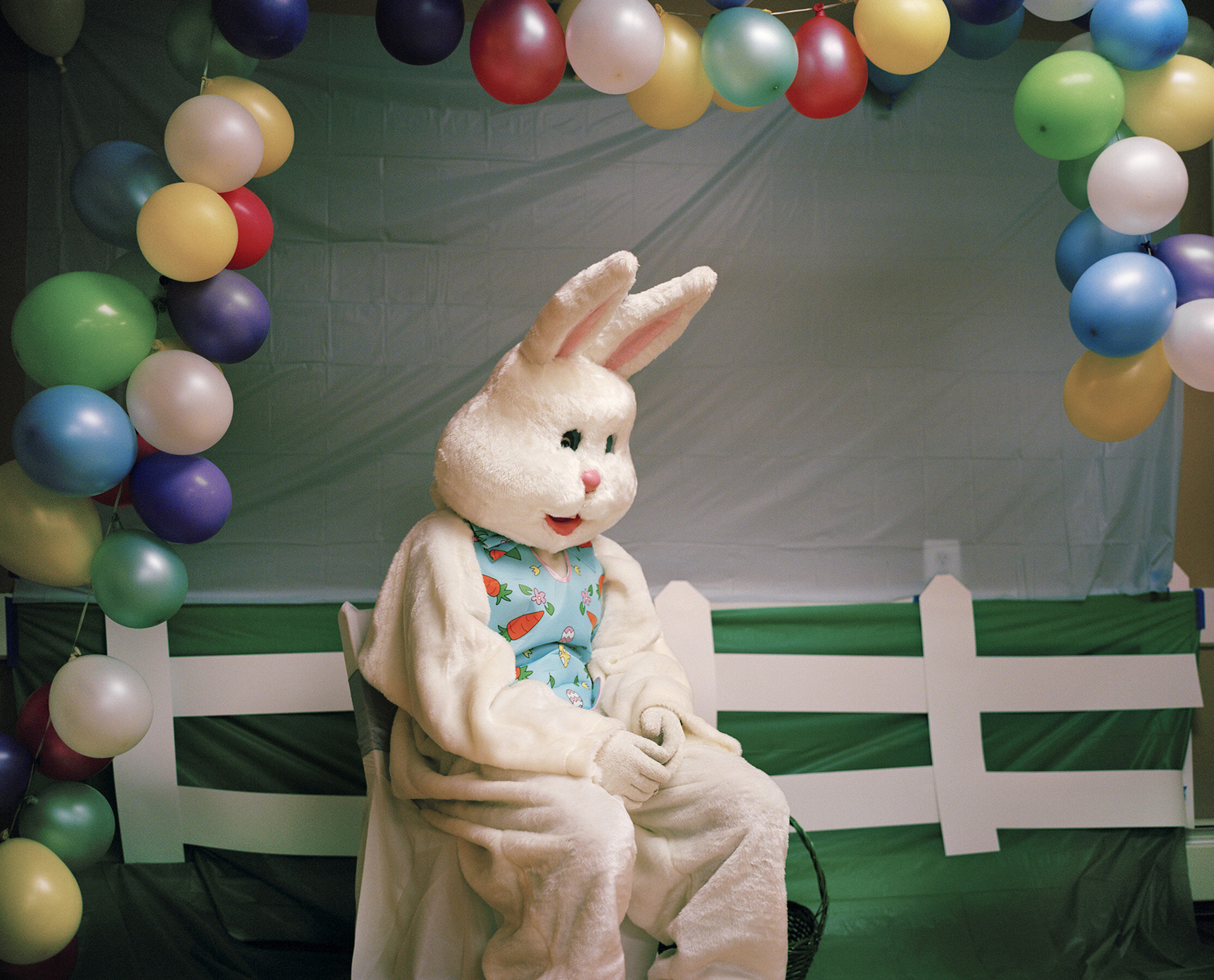 04_BC_Bunny.jpg