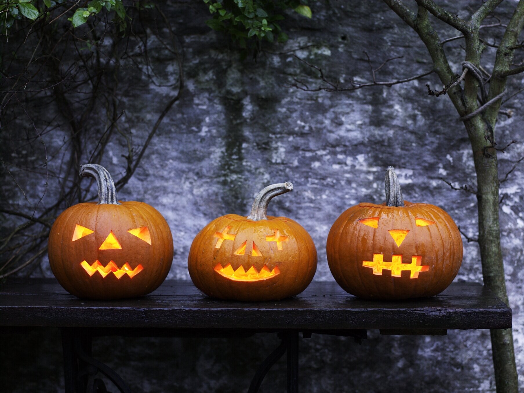 Knorr Social Content