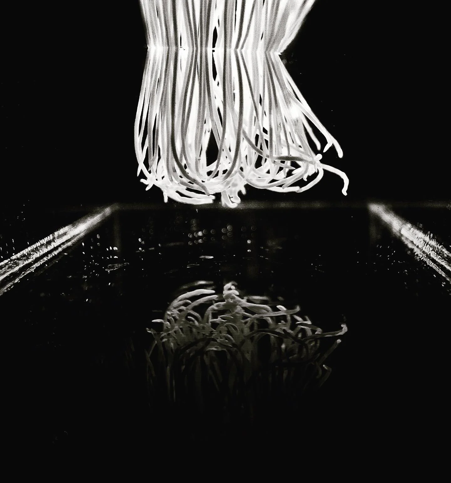 Revon_Roxane_04 copy-2.JPG