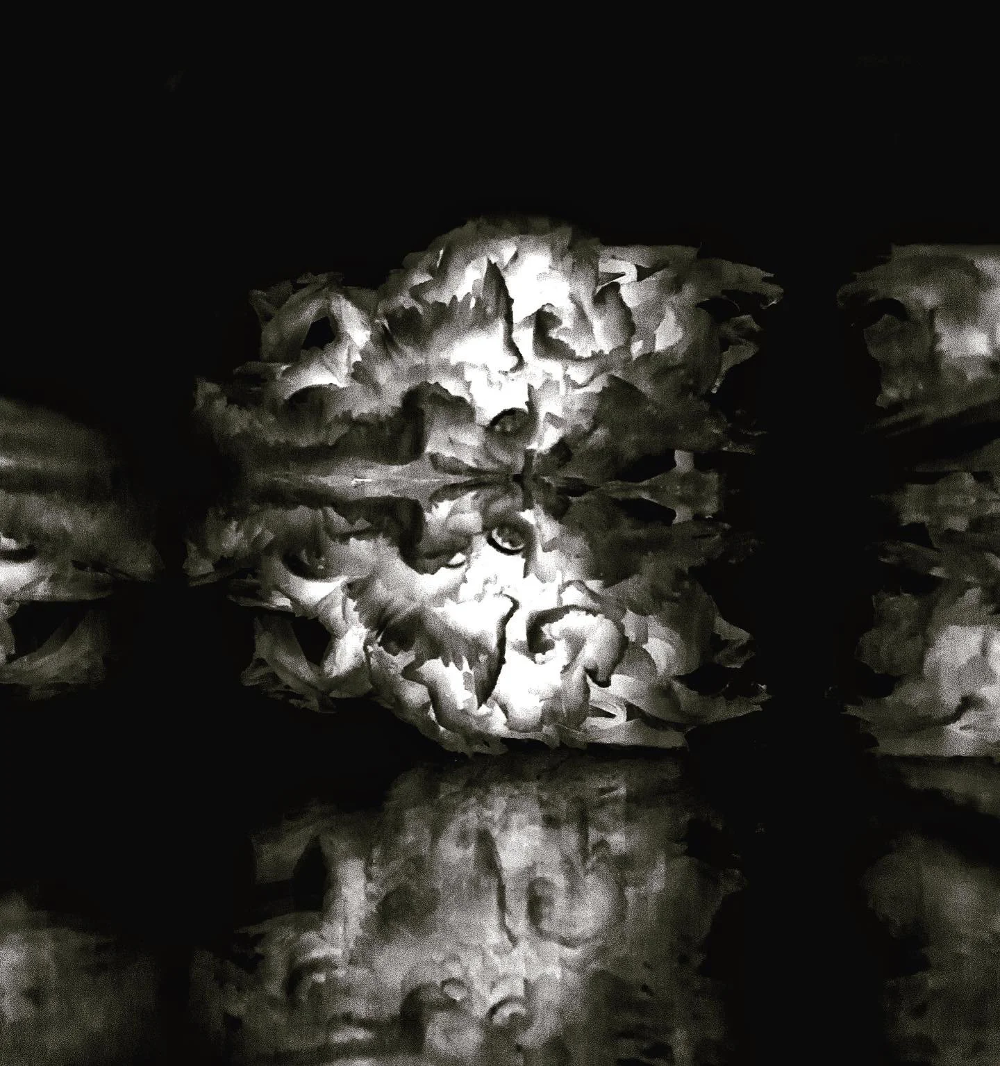 Revon_Roxane_05 copy.JPG