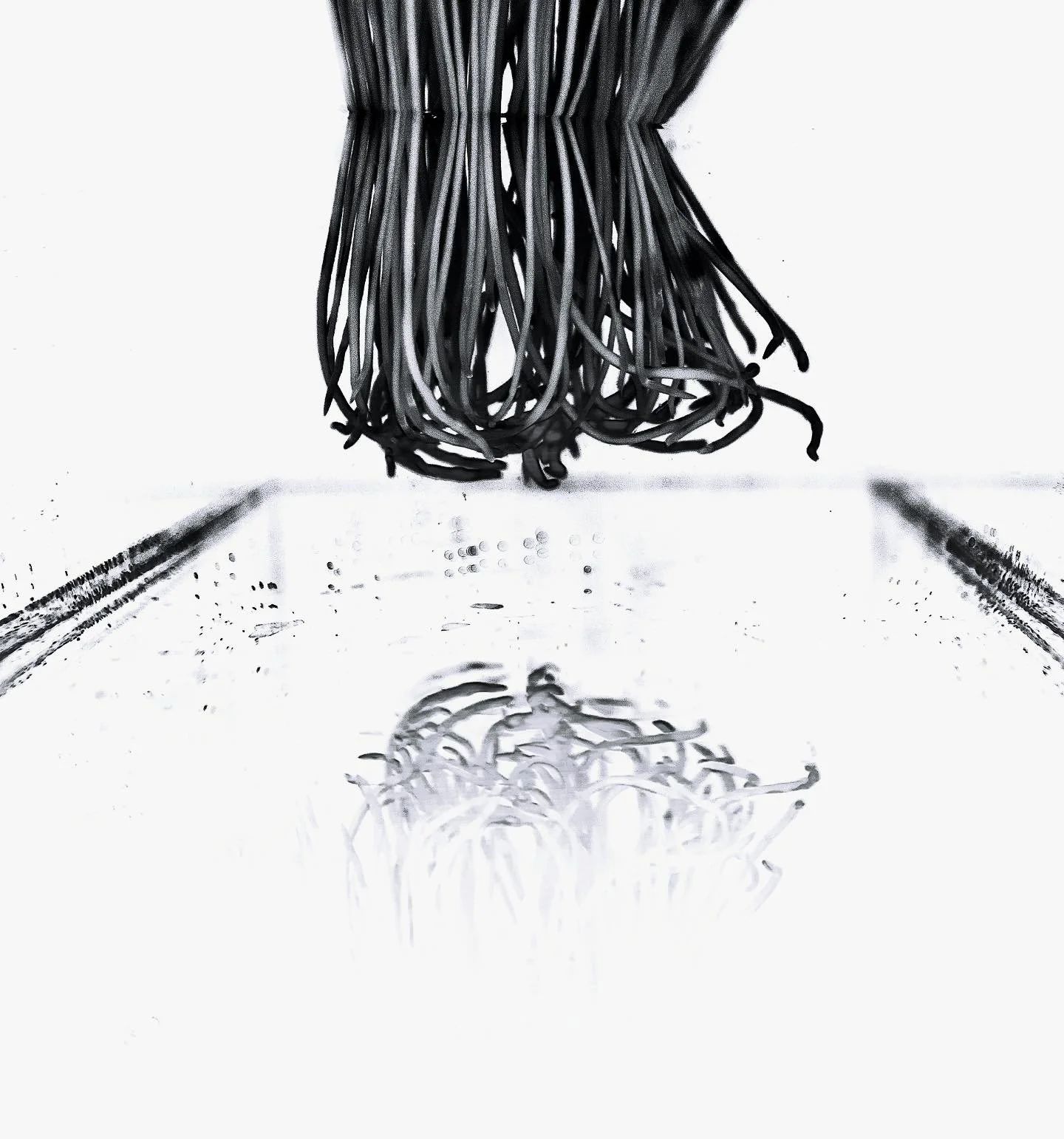 Revon_Roxane_04 copy.JPG