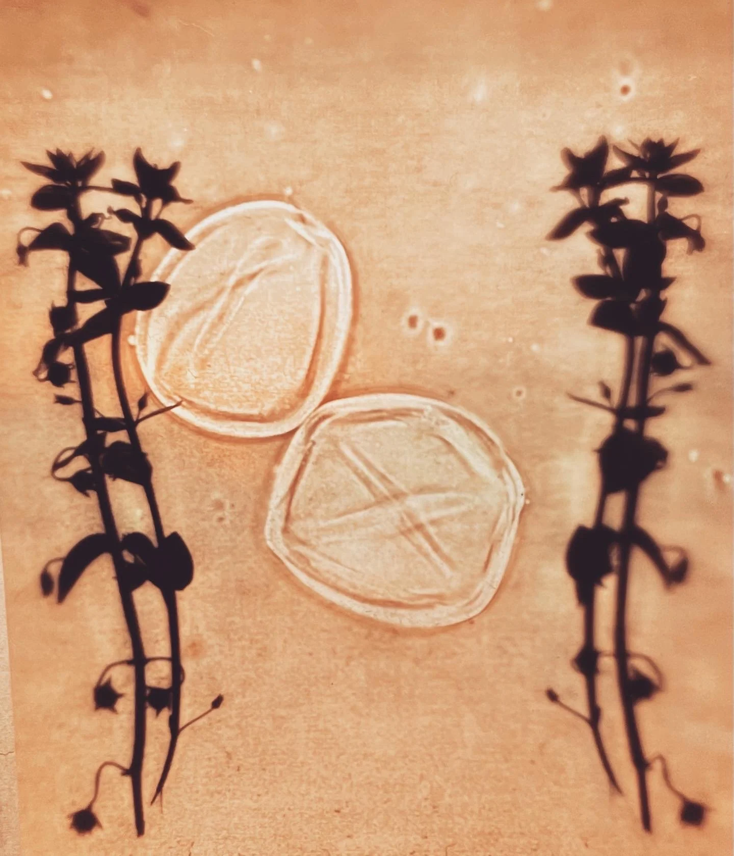 Revon-Cell Memory-2022-inkjet print-16x24in-.JPG