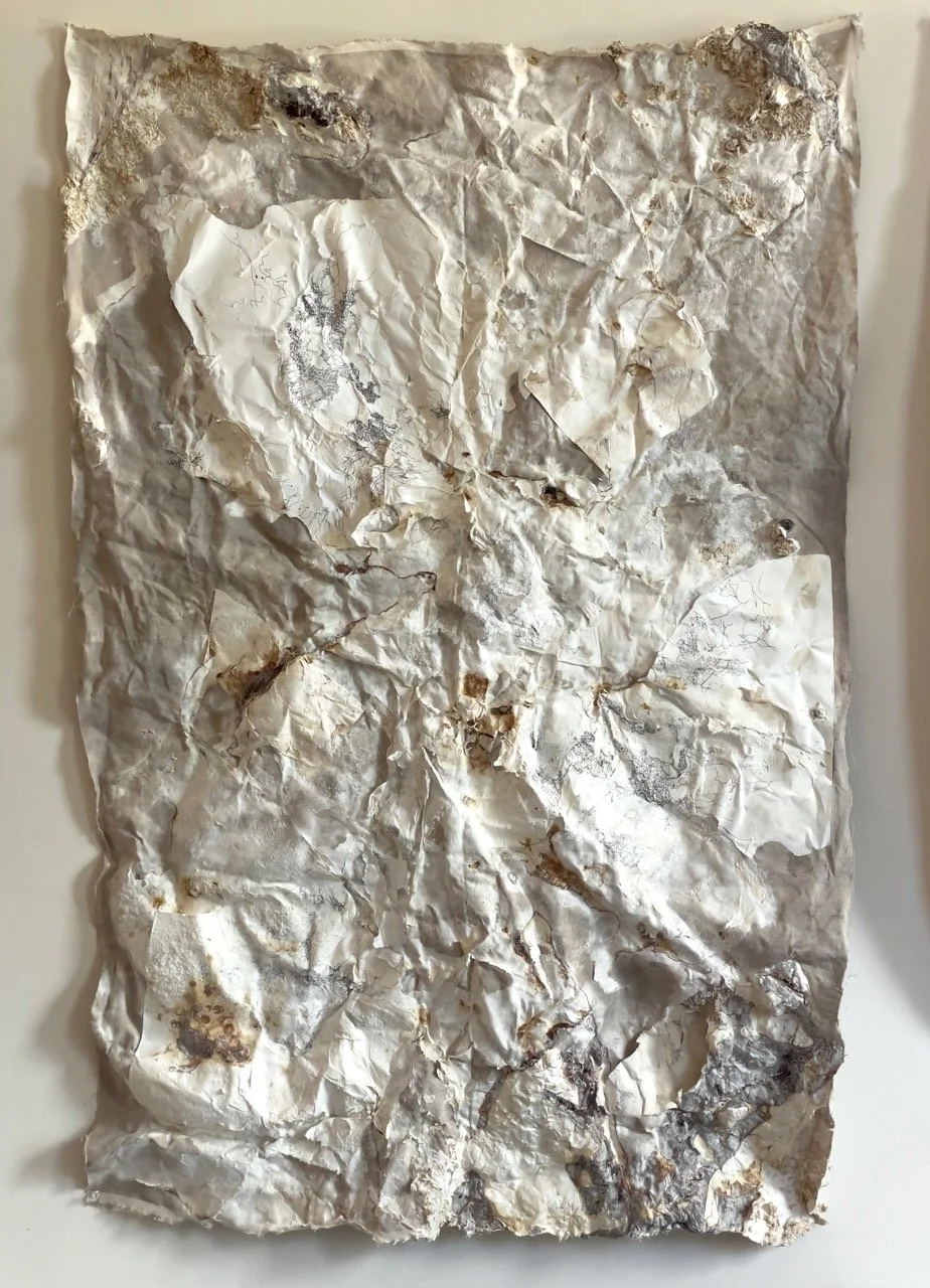 Revon - Palimpsest I Large.jpeg