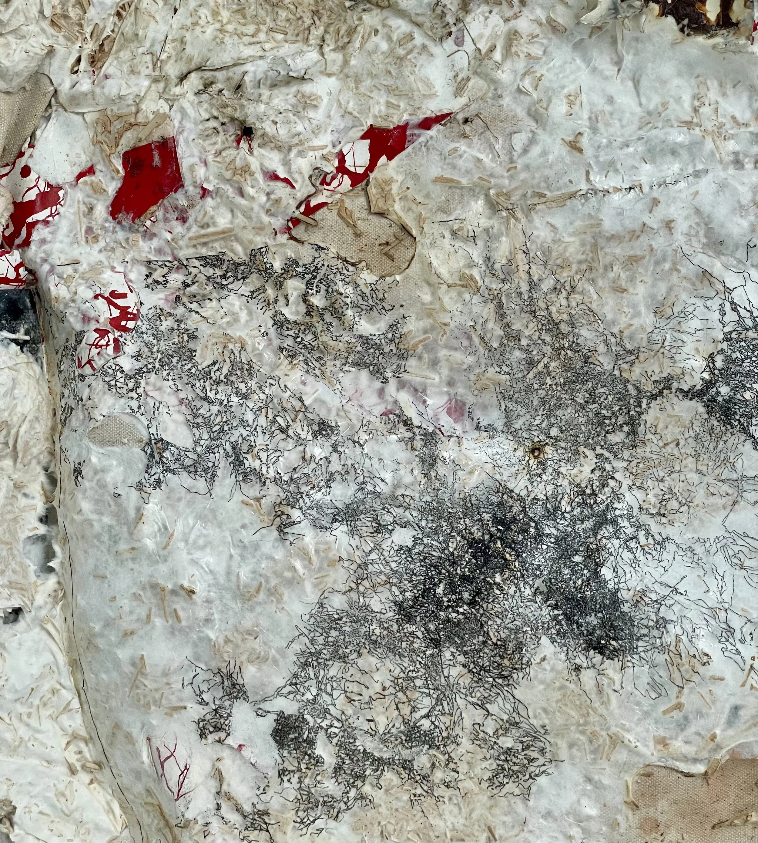 07_Galaxie details.jpeg