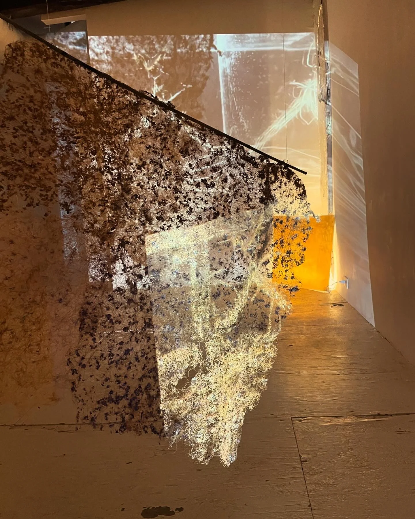 BBD33EFB-98CA-421F-9464-ADDD013FFED7 2.JPG