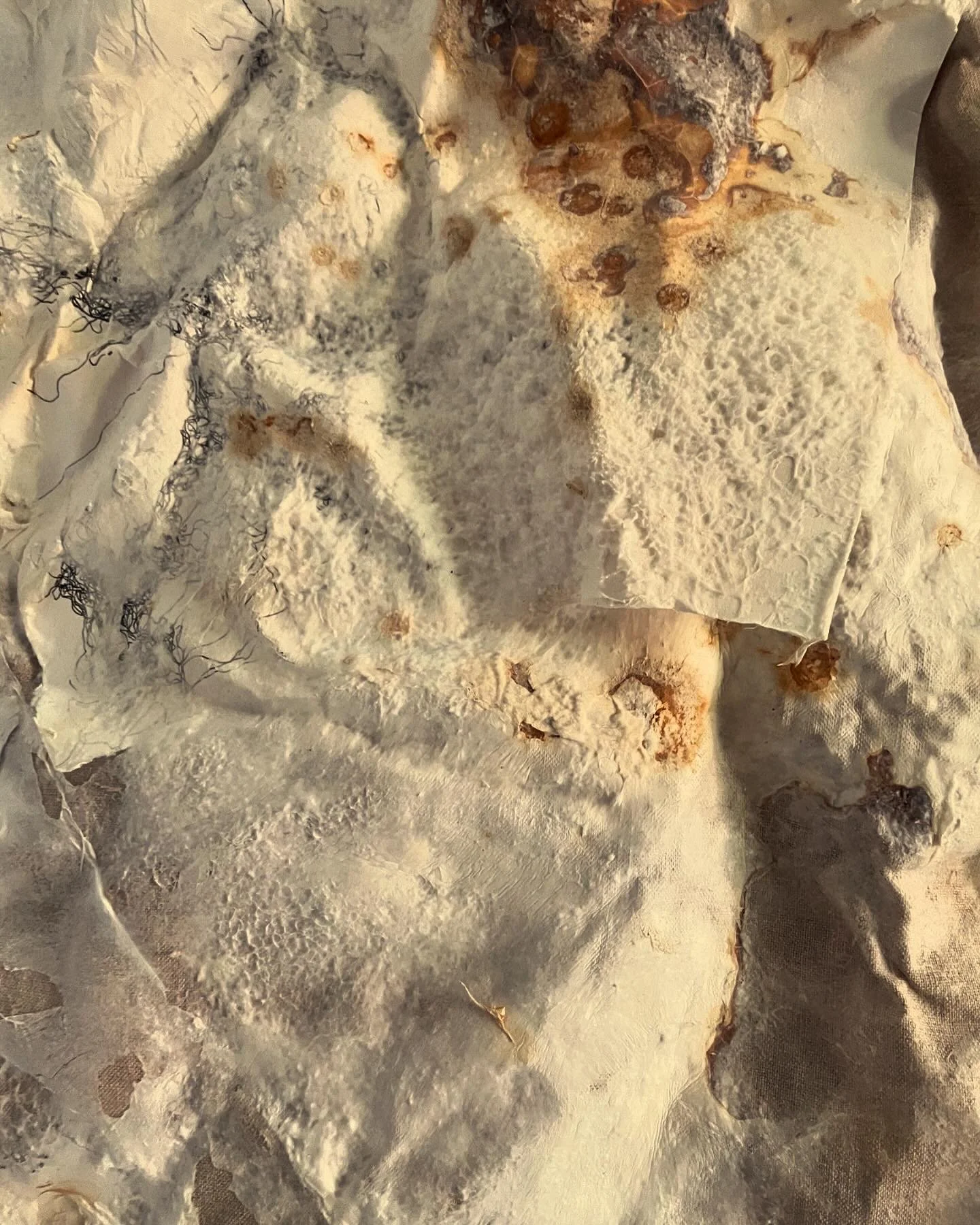 FFD47F7E-4384-471D-9991-112BBB7B19B6 2.JPG