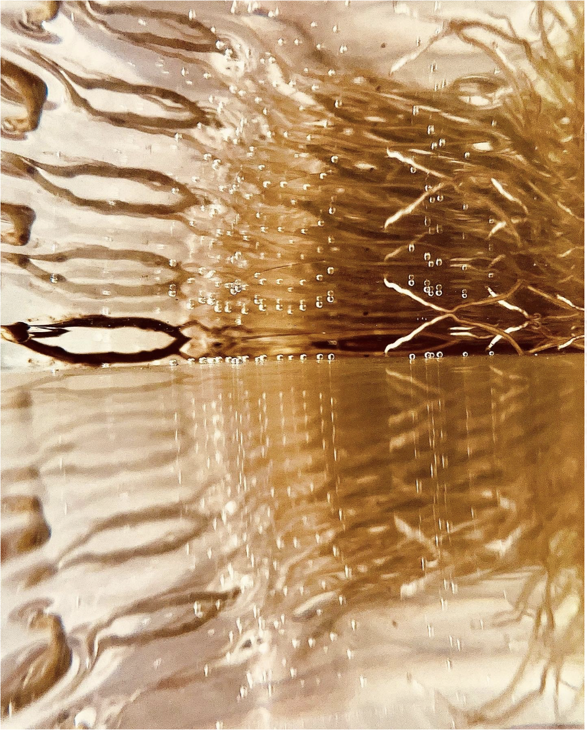 Capture d’écran 2024-11-03 à 16.08.30.png