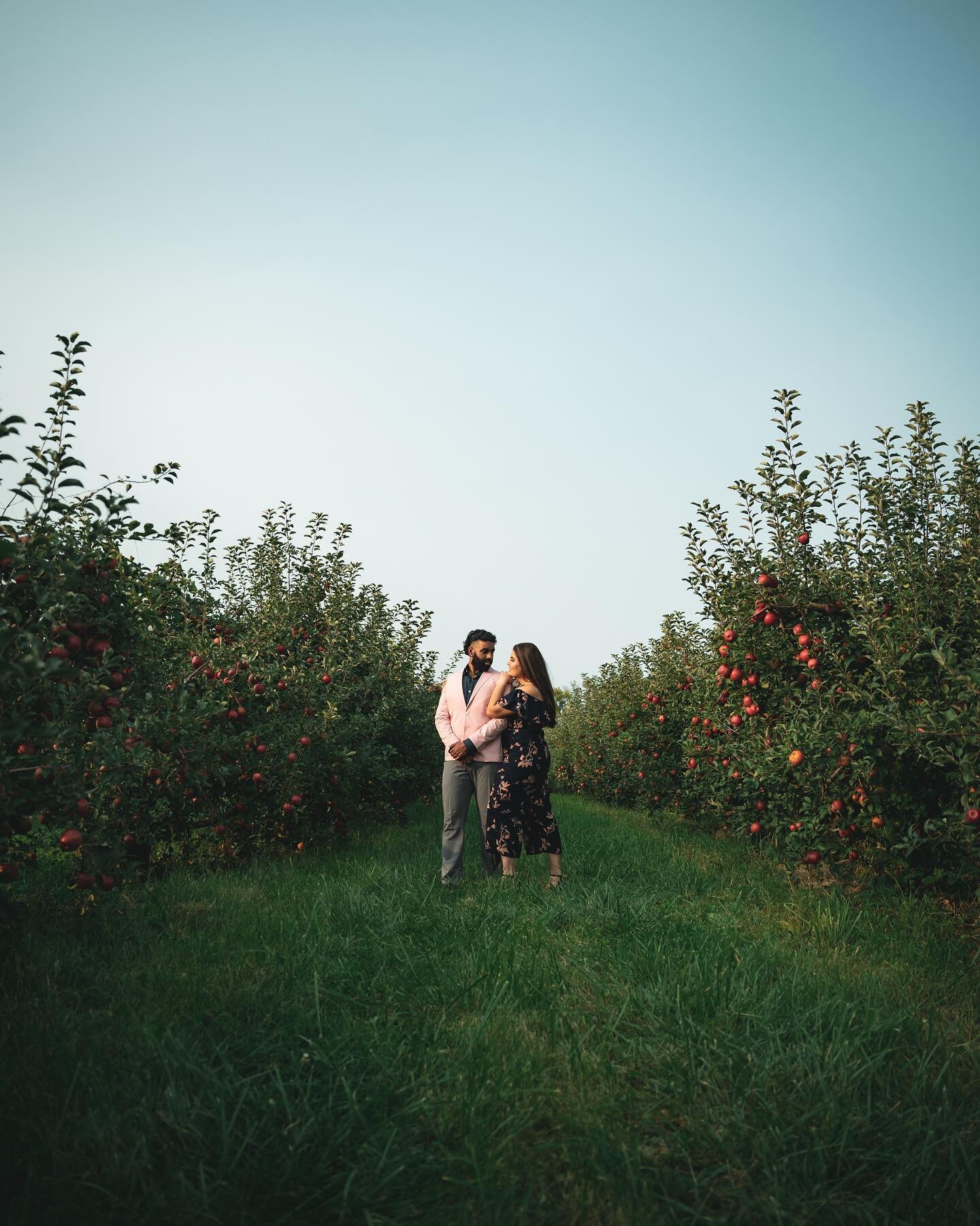 Got to take some pictures of these beautiful people for their 1 year anniversary! I&rsquo;ll have to say they do clean up pretty nice. 
.
.
.
#photography #couplegoals #anniversary #fall #sonyalpha #a7iii #sigma2470art