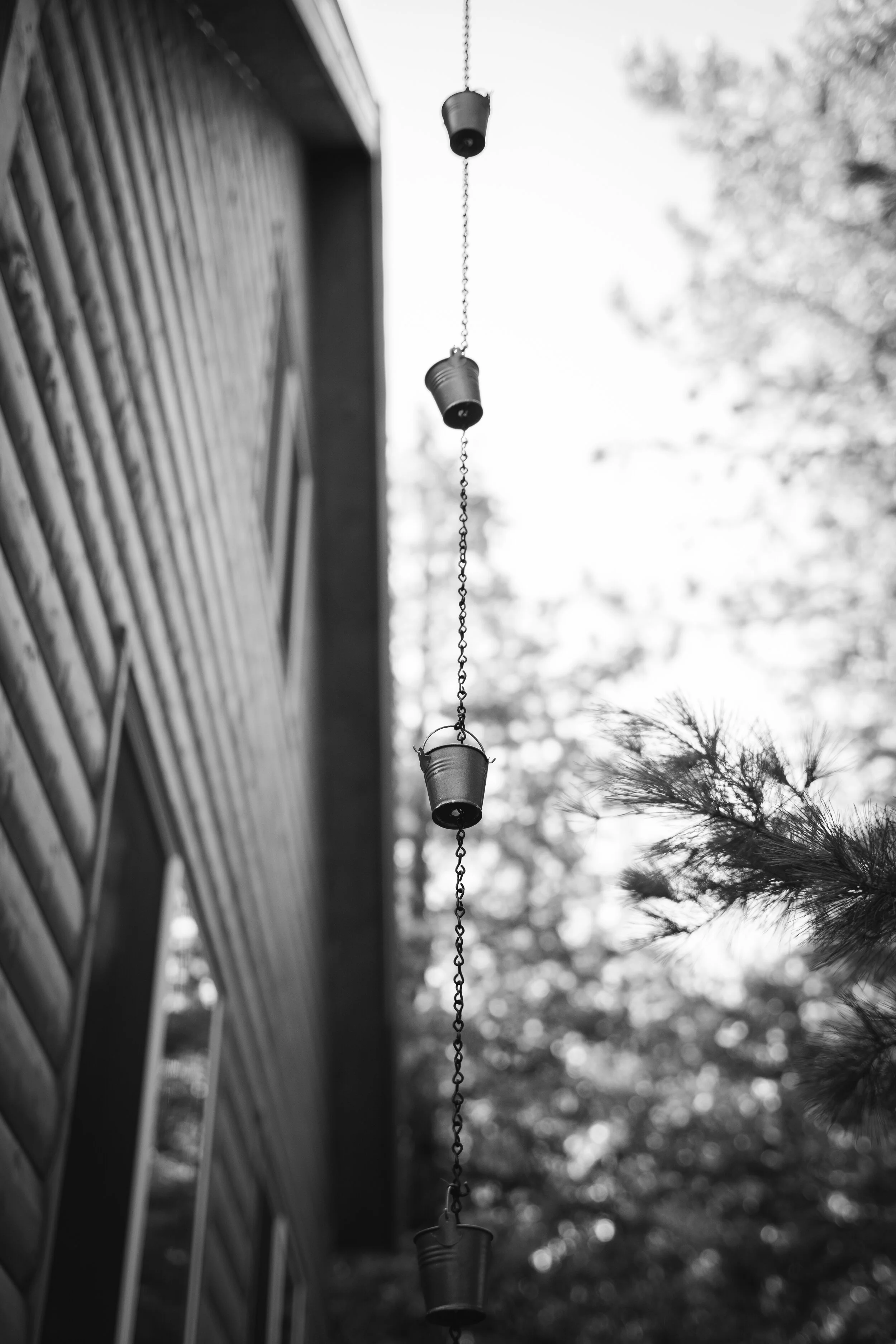 Ely2019 (10 of 285).jpg