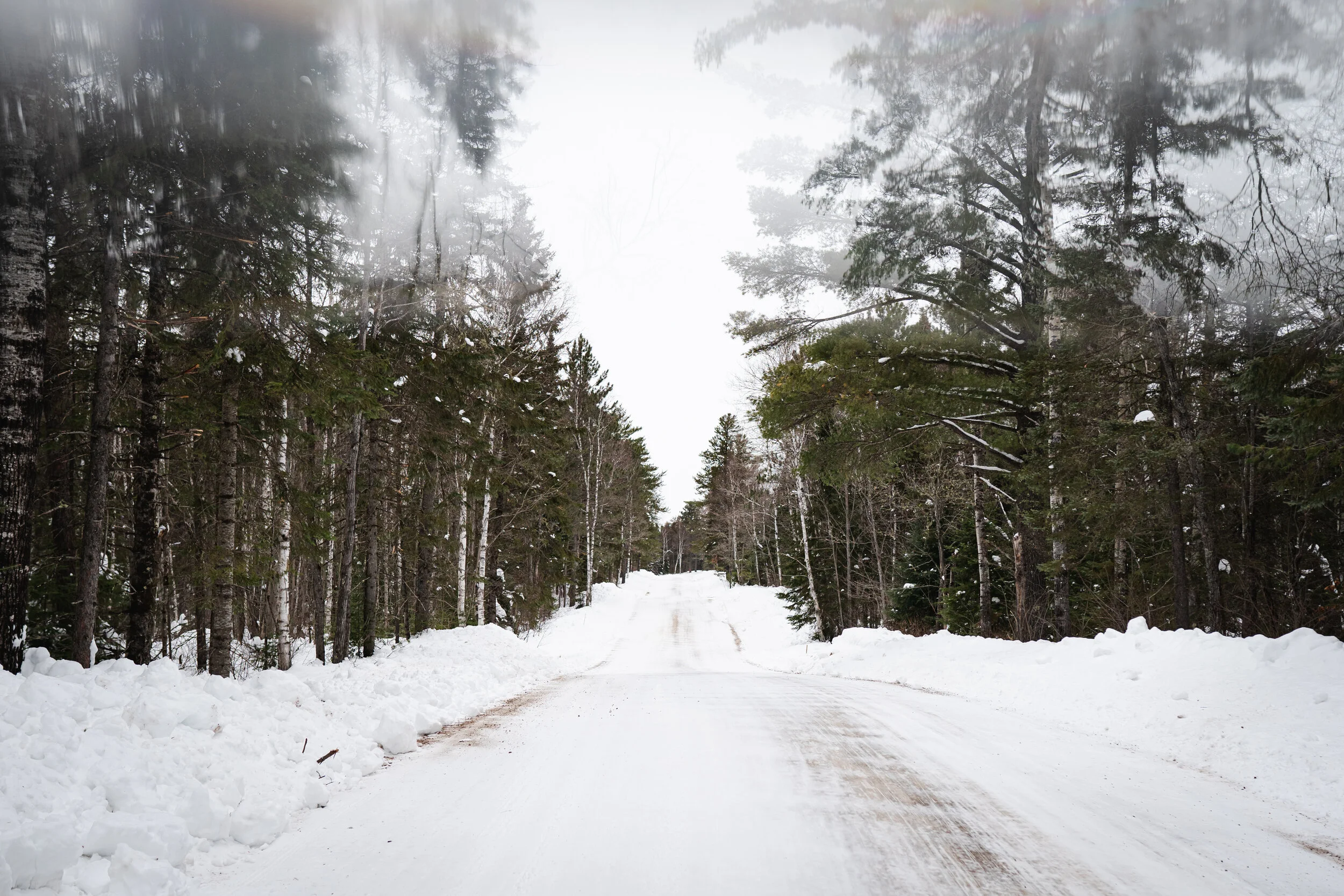 ElyWinter2020 (21 of 121).jpg