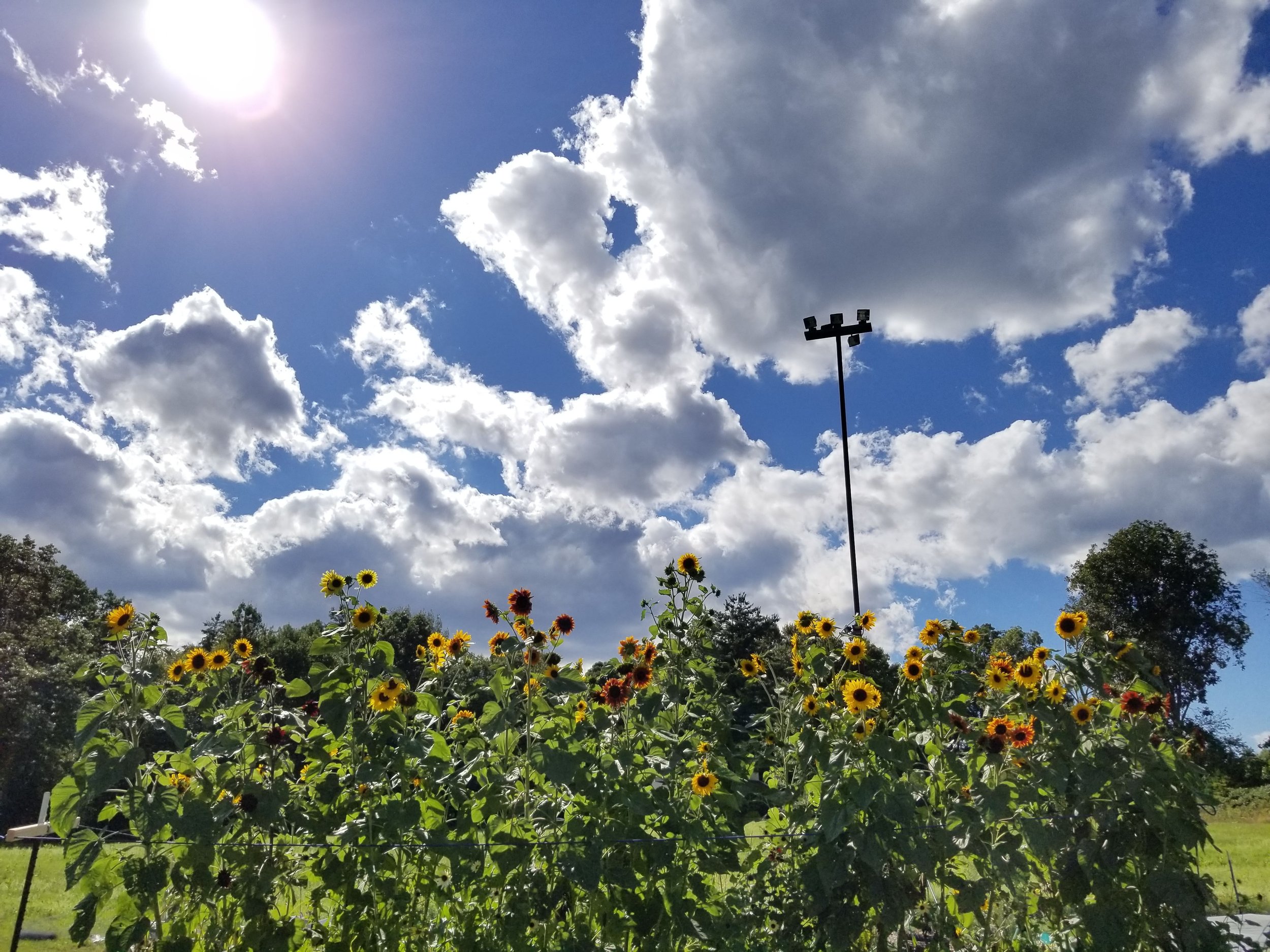 20200905_151742.jpg
