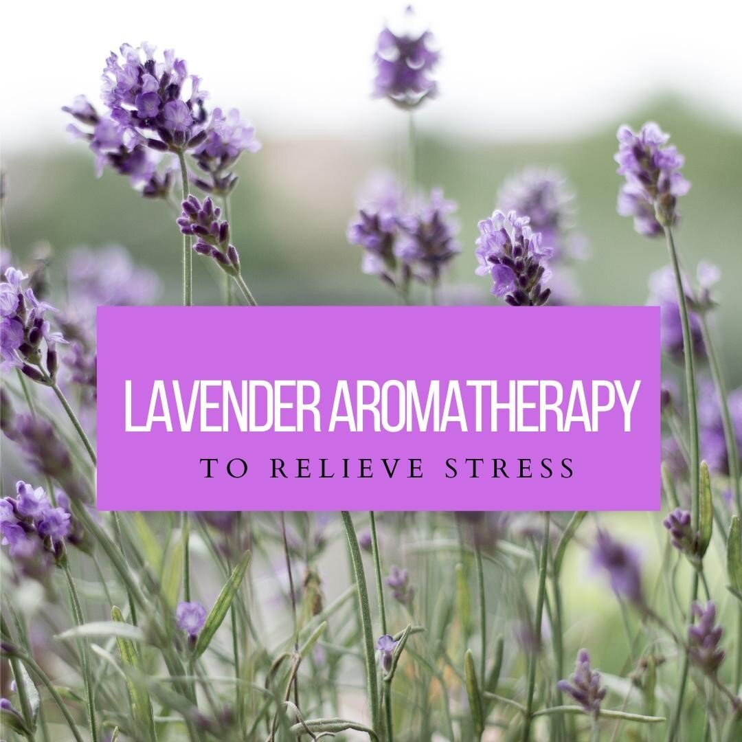 Are you feeling stir crazy, stressed or overwhelmed? Apply a few drops of lavender essential oil to a cotton ball and add it to your car vent or inside your pillowcase. Mix lavender oil with jojoba or almond oil and massage into your neck, shoulders 