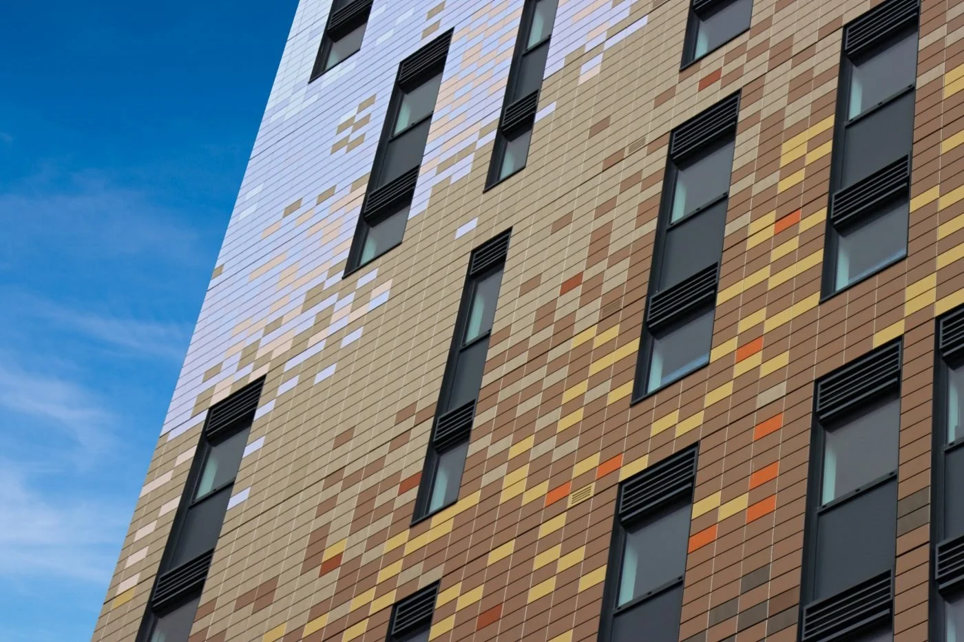 DE_MKT_PHO_REF_ARG_Tampa_Brighton_Uni_4 (1).jpg