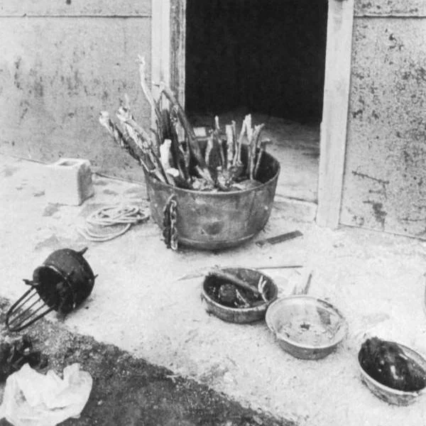 Episode 49: Spring Break Crimes