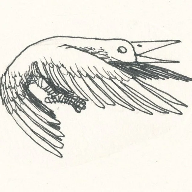 EP 68: What Lurks in the Woods…