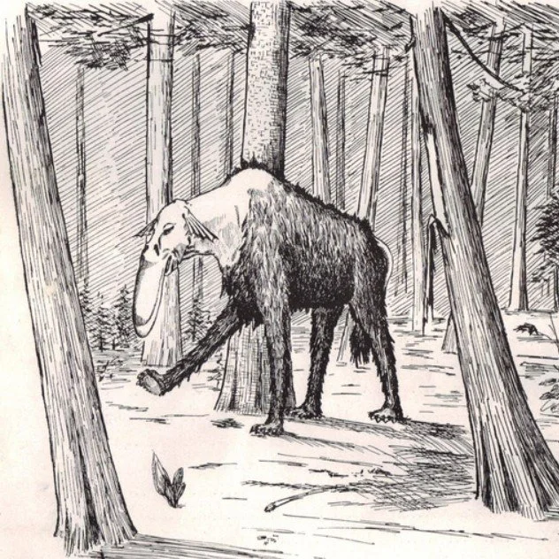 EP 91: Crazy-Ass Cold Cryptids!