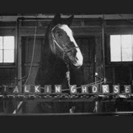 143: Lady Wonder and Lie Detector Tests