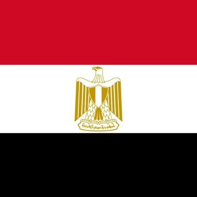 169: Egypt Crimes