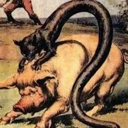 215: Shh! Secret Creatures