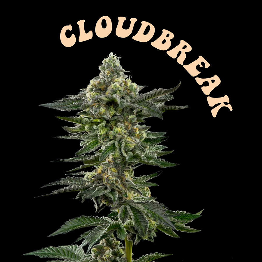 CLOUDBREAK.png